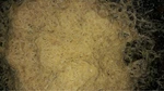 White Worm Starter Culture Organic Fish/frog/newt Food Free Shipping!. Fixed Price $18.99.