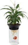 Penn-plax (APON1) Aquaponic Planter And Aquarium For Betta Fish Tank Promotes He. Fixed Price $28.66.