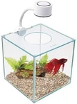 Compact Cubus 0.9 Gallon Glass Aquarium - Includes Led Light And Acrylic Cover. Fixed Price $26.99.