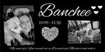 Grave Marker Pet Stone Memorial Granite Plaque Animal Human Dog Cat Bird. Fixed Price $49.95.