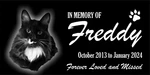 Personalized Pet Stone Memorial Grave Marker Granite Plaque Animal Human Cat. Fixed Price $49.95.