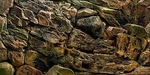 Vip.line Rock Wall Aquarium Background Poster Pvc Fish Tank Decor Landscape 2.... Fixed Price $41.92.