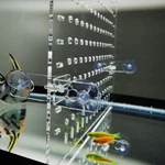 Clear Acrylic Fish Tank Divider W/suction Cups For 30 To 150 Gallon Aquarium 2PK. Fixed Price $60.22.