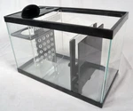 Refugium Kit - 5.5 Gallon Ezbuild Pro Sump For Aqueon / Imagitarium (mto). Fixed Price $42.95.