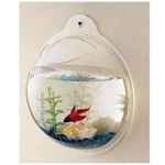 Cnz Wall Mounted Acrylic Fish Bowl, 11.5-INCH. Fixed Price $60.39.