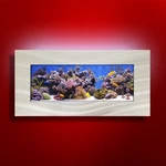 New! Original Aussie Aquarium - Skyline Brushed Aluminum Wall Mounted Fish Tank. Fixed Price $399.95.