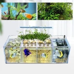 Aquaponic Fish Tank 4-GRID Desktop Rectangle Acrylic Betta. Fixed Price $38.35.