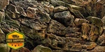 Vip.line Rock Wall Aquarium Background 36"X16" Pvc Fish Tank Decor. Fixed Price $44.99.