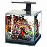 Aqueon Frameless Cube Edgeless Glass Aquarium 3 Gallon. Fixed Price $70.00.