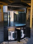 250 Gallon Glass Corner Cylinder Reef-ready Aquarium Abyss Black + Sump. Fixed Price $10499.99.