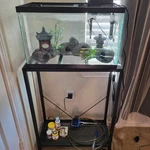 Complete 10 Gallon Japanese Zen Betta Tank Everything Included Used. Fixed Price $170.00.
