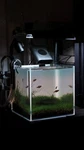 Clear Acrylic Rimless Aquarium Tank Modern Freshwater Fish 30CM And 35CM. Fixed Price $82.00.