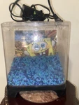 Penn-plax Spongebob Squarepants 1.5 Gal. Aquarium Kit Plastic Tank. Fixed Price $26.37.