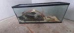 Aqueon Standard Glass 20 Gallon Long Aquarium Tank, Black Trim. Fixed Price $300.00.