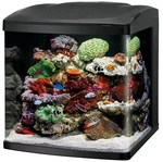 Coralife 32 Led Biocube Aquarium. Fixed Price $489.99.