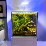 Glass Small-in-one 1 Gallon Desktop Aquarium (freshwater) Pnw Customs. Fixed Price $152.40.