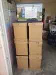 Culture 20 Gallon Glass Rectangle Aquarium Tank Only, 24 In Width. Fixed Price $25.00.