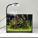 Nano Aquarium Kit 2.2 Gallon, Rimless Glass Betta Fish Tank With Filter & Led.... Fixed Price $64.99.