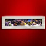 New! Original Aussie Aquarium -panoramic Brushed Aluminum Wall Mounted Fish Tank. Fixed Price $1599.95.