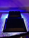 Aquarium Reef 2X Led Light Combo 12K/ACTINIC Blue 10 15 Gal Bio-cube Jbj Nano. Fixed Price $64.95.