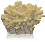 Deep Blue Coral Concepts Cauliflower Replica Aquarium Ornament ADB80060. Fixed Price $12.29.