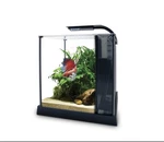Fluval Betta Premium Aquarium Kit, 2.6 Us Gal / #10498. Fixed Price $80.00.